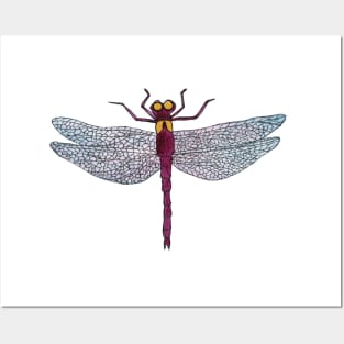 Dragonfly Posters and Art